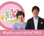喜平 ネックレス メディア紹介
