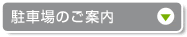 停车场向导